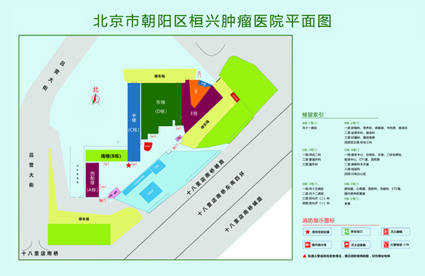 鸡巴插骚逼的视频网站北京市朝阳区桓兴肿瘤医院平面图